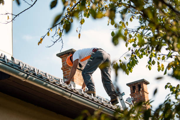 Best Roof Restoration Services  in Hagaman, NY