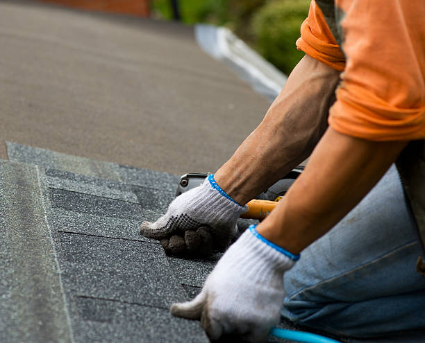 Best Roof Gutter Cleaning  in Hagaman, NY